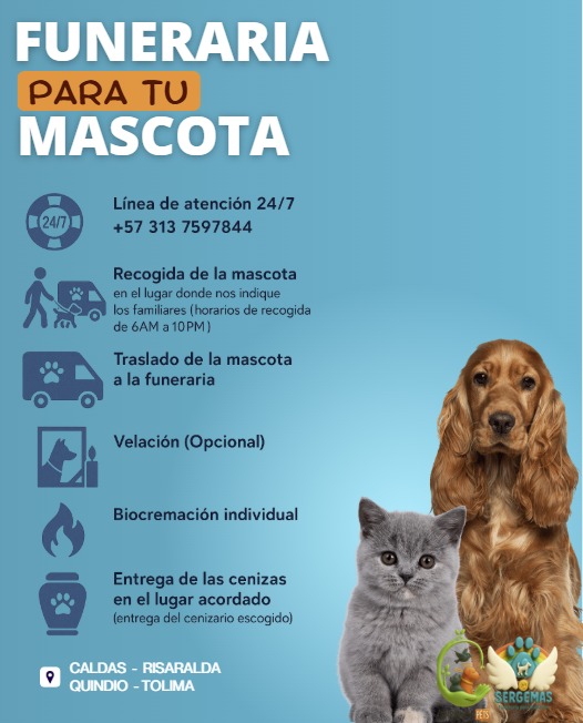 886668ef-b2ee-4607-a23f-3175ec8c4d1b